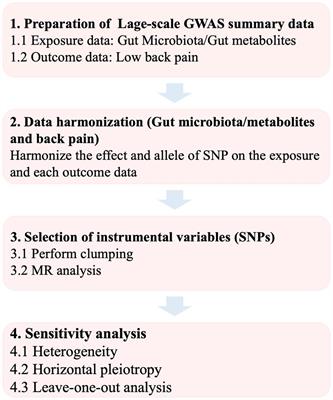 Genetically supported causality between gut microbiota, gut metabolites and low back pain: a two-sample Mendelian randomization study